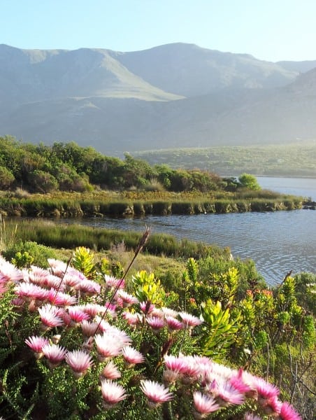 Welcome to Walking holidays in South Africa