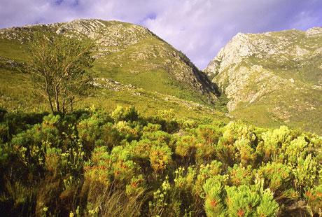 Holiday-Green-Mountain-Walk