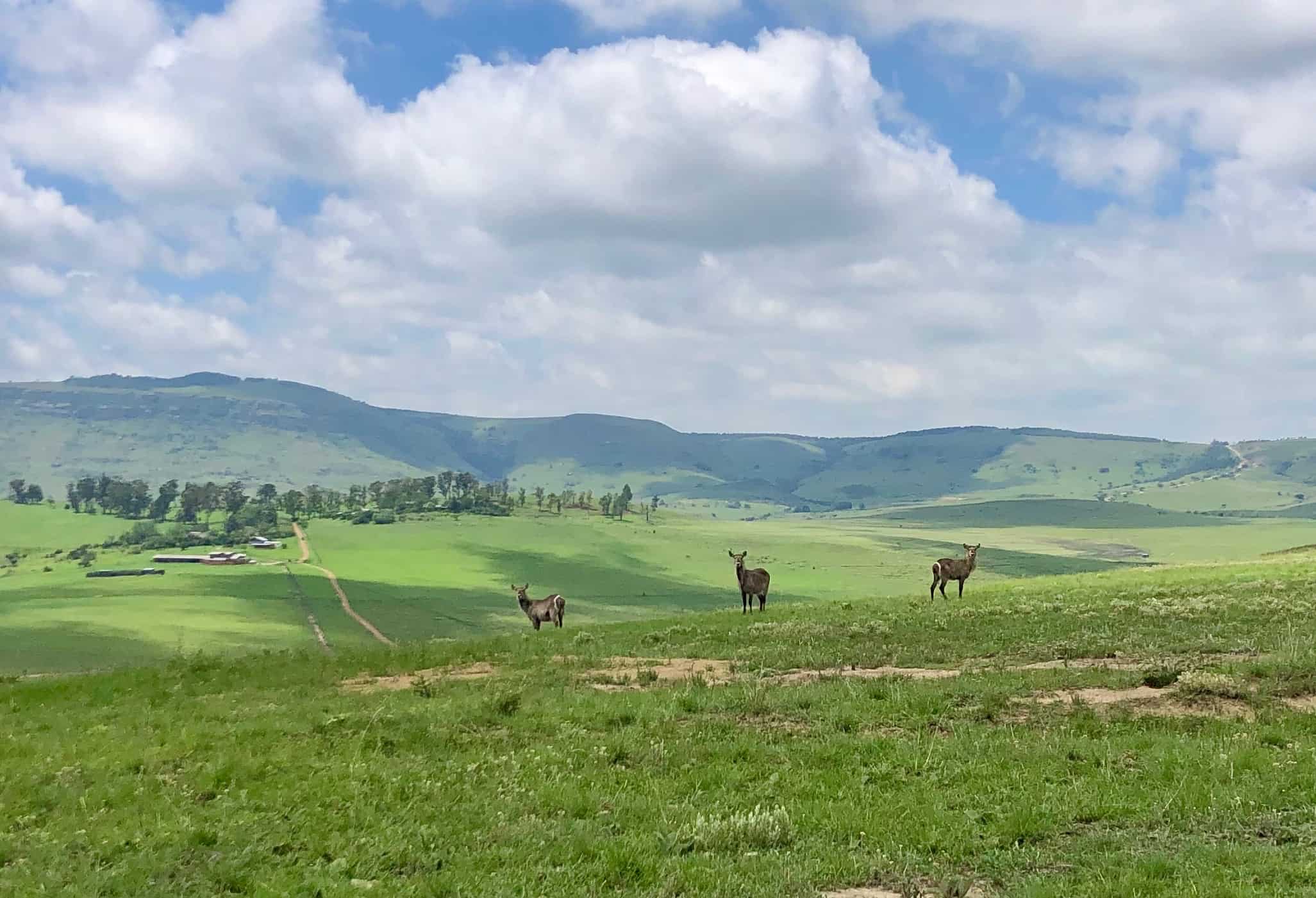 Drakensberg-Giants-Castle-Hiking-04.jpg
