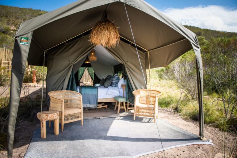 Pioneer-Trail-Camp-2-Mozambique-Camp-Accomodation_DSC4001-scaled.jpg