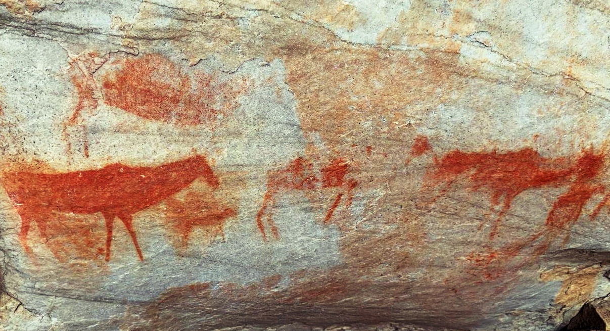 Bushman rock paintings on Cederberg hike