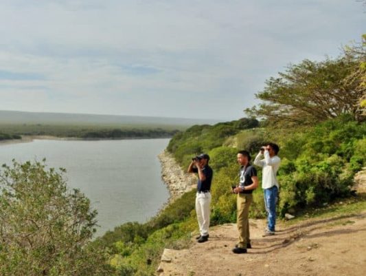 DE-HOOP-JULY-2018-27-Bird-Walk-scaled-e1584177055168.jpg